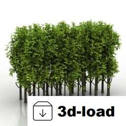 3d модель Деревья Буша Лес